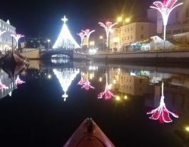 gallery/50574057_785286281835840_5228459157677408256_n