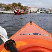 gallery/49937770_578346785907314_5342288620088721408_n